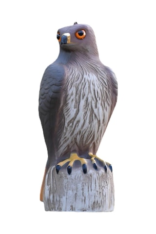 Homyl Kartal Heykeli Plastik Raf Kitaplık Masaüstü Heykelcik Orta