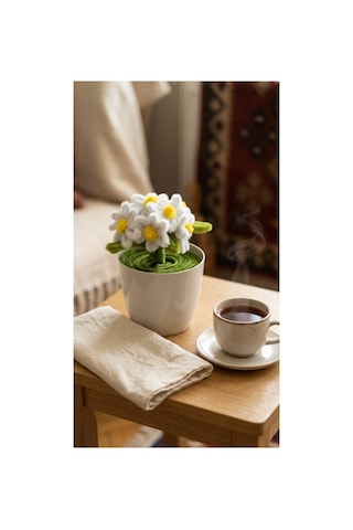 Şönil Beyaz Papatya Mini Saksı Minimal Beyaz - Sarı
