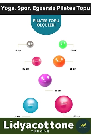 Mini Gymball 20cm Mavi Pilates Denge Egzersiz Topu Profesyonel Seri Şişirme Pompa