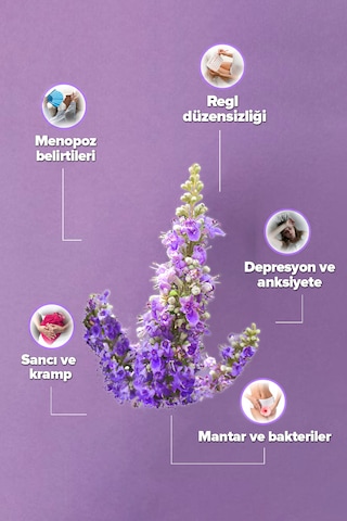 Ekstraktlı Hayıt Suyu 500 Ml