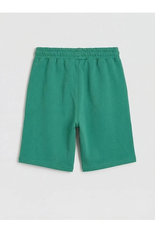 Lc Waikiki Yeşil Erkek Çocuk Stumble Guys Baskılı Şort