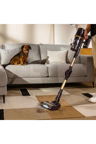 Cecotec Conga Rockstar RS70 Pet Flex Kablosuz Dikey Süpürge