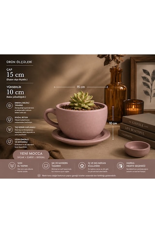 Momiko Beton Fincan Saksı - Yeni Mocca, El Yapımı Sukulent Saksısı Yeni Mocha