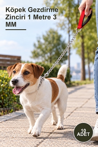 10 Adet Köpek Gezdirme Zinciri 1 Metre 3 Mm