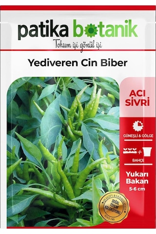 200 Adet Yediveren Cin Biber Tohumu Yukarı Bakan