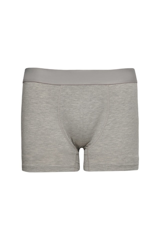 Ac&Co / Altınyıldız Classics Erkek Gri-Lacivert 3Lü Boxer Paketi 4A03212P3007Glcs