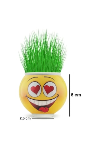 Emoji Figürlü Çim Adam Oyuncak Toprak Tohumlu Dekoratif Saksı Çocuk Eğitici Bitki 6 cm