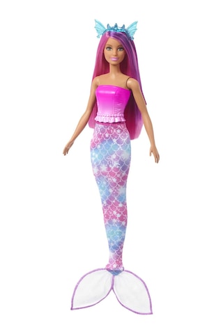 Barbie™ Dreamtopia Bebek ve Aksesuarlar HLC28