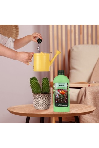 Genta Prestige Kaktüs İçin Sıvı Besin Diğer