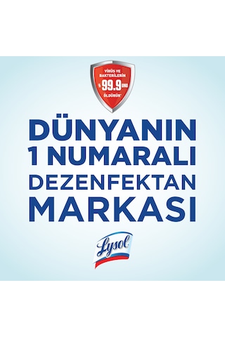 Lysol Pratik Yüzey Temizleyici, Koku Giderici, Dezenfektan Sprey Temizliği Esintisi 400 ML