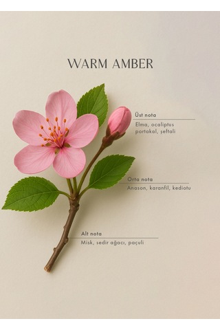 Bella Maison Warm Amber Oda Spreyi 500 Ml Amber