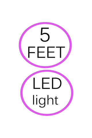 Cs Modeli İçin 12v 2a Güç Adaptörü: Cs-1202000 Duvar Ev Şarj Cihazı Güç Şarj Cihazı Kablosu, 5 Feet, Led Göstergeli
