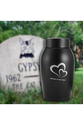 Homyl Köpekler Kediler Küller Gevşek Anıt Evcil Siyah Altın