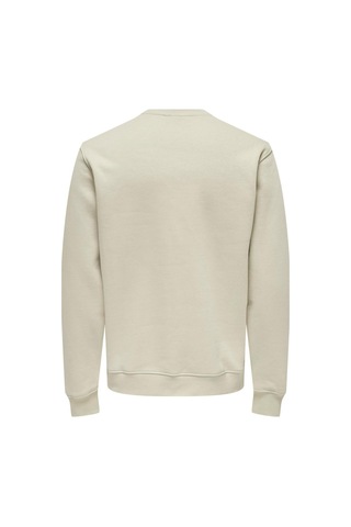 Only & Sons Onscurated Reg Crew Neck Sweat Bej 22030923 Bej