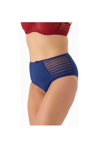 Be Curvy Aster Büyük Beden Çizgili Külot Blue