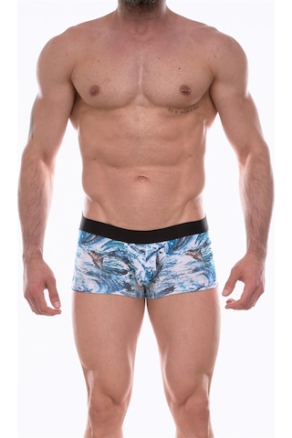 Erkek Çok Renkli Fantezi Giyim Desenli Boxer Hf072213