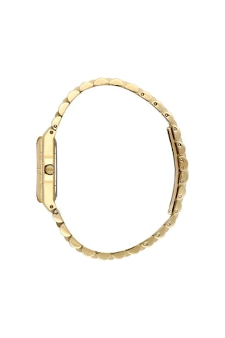 Valentino Orlandi Vo.4.10010-2 Kadın Kol Saati Gold