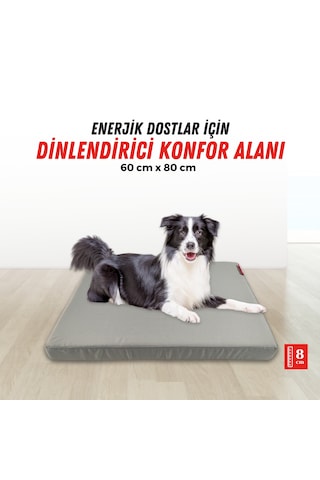 Xpermate Patiminder Köpek Yatağı Büyük Irk Köpek Yatağı 60 x 80 CM