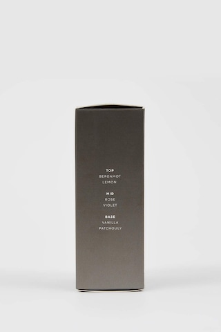 DeFacto Iron Grey Erkek 100 ml Parfüm R4167AZNSGR100