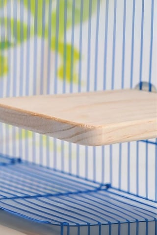 Chinchilla Hamster Sıçrama Tahtası - Kuş Ve Papağan Aktivite Platformu