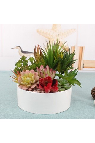 Xiyyadms Ta10 Dıy Yapay Sukulent Bitki Seti - Bakımı Olmayan Ev Dekorasyonu, Duvar Yeşilimi, Doğal Stili Evinizde