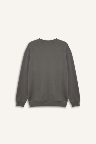 Defacto Boxy Fıt Bisiklet Yaka Pike Sweatshirt H1001ax26spgr206 Gri-gr206