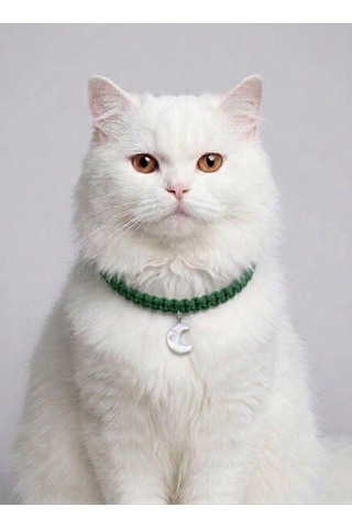 Yeşil El Örgüsü Makrome Kedi Tasması 27 Cm - Ay Figürlü Charm Şık Kedi Boyun Tasması
