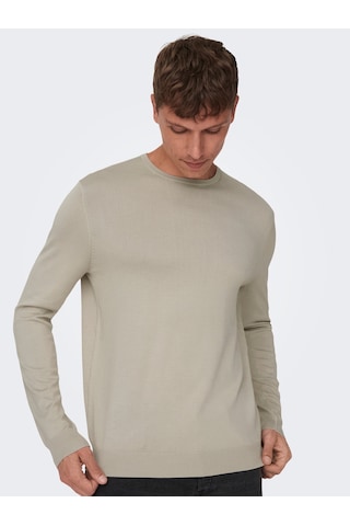Only & Sons Erkek Bisiklet Yaka Regular Fit Kazak - 22020088 Bej