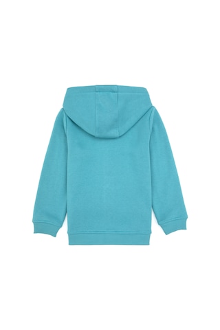 U.S. Polo Assn. Erkek Çocuk Mint Örme Fermuarlı Kapüşonlu Hırka 50313852-VR152