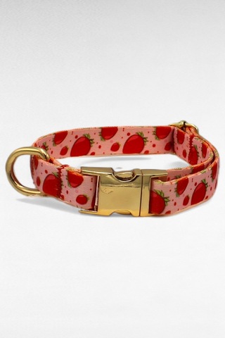 Caramelos İsimli Köpek Tasması, Yavru Köpek Tasması, Küçük Irk Köpek Tasması, Metal Kilit, 1,5 Cm Pembe