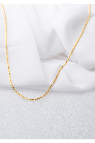 Bilezikci Burgu 14 Ayar Altın Zincir 45 Cm.