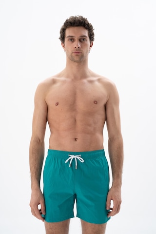 Arma Erkek Regular Fit Basic Mayo Deniz Şortu Y25525277901 Yeşil