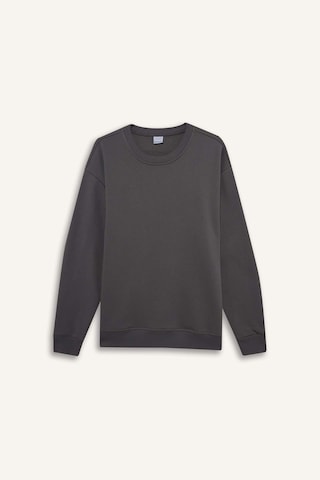 Defacto Relax Fit Bisiklet Yaka Kalın İçi Yumuşak Tüylü Basic Düz Sweatshirt T5139az25augr438 Gri