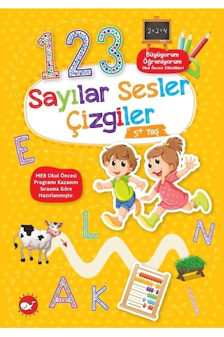 Büyüyorum Öğreniyorum - Sayılar Sesler Çizgiler