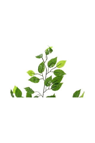Yapay Ficus Benjamin Ağaç Dalı Parlak