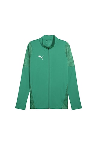 Puma Teamcup Training Jacket Erkek Futbol Antrenman Ceketi 65916505 Yeşil Yeşil