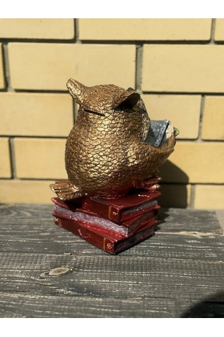 Solomon Home Akıllı Baykuş, Büyük Kumbara 438821447