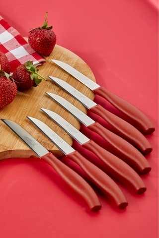 Cooker 12 Li Lüx Paslanmaz Çelik Sebze Ve Meyve Bıçağı Kırmızı