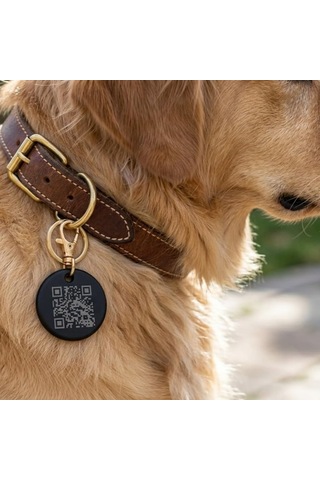 Yeni Nesil Akıllı Evcil Hayvan Künyesi, Qr Kod Ve Nfc Destekli, Güncellenebilir Dijital Kedi Ve Köpek Künye Diğer