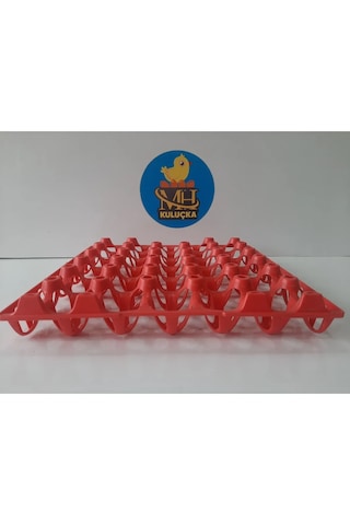 Plastik Yumurta Viyolü 30 Yumurta 4 Adet