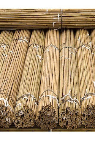 30 Adet Bambu Bitki Fidan Destek Çubuğu 1,5 Metre