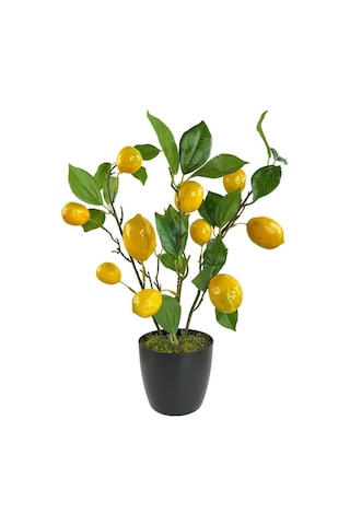 Yapay Limon Ağacı 40Cm Gerçek Doku Siyah Plastik Saksılı Dekorati