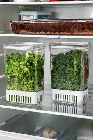 Tr Saklama Kabı - Uzun Süre Taze Tutma Herb Keeper Sebze Saklama Kabı Diğer