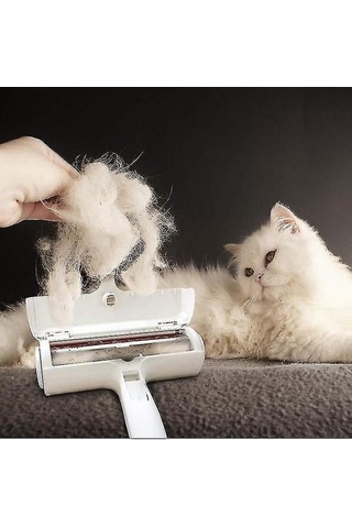 Pet Tarak Fırçalar Pet Saç Remover Çift Taraflı Fırça Yapıştırma Cihazı Çok Fonksiyonlu Pet Epilasyon Fırça Mavi