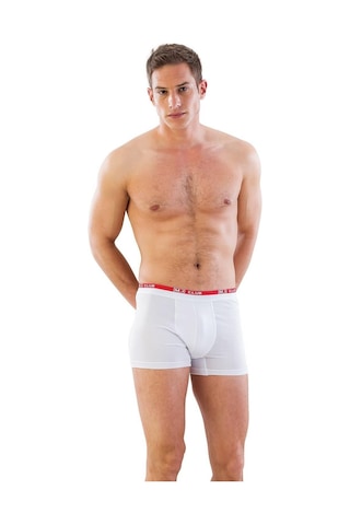Standart Mı Emay 6900 3'lü Erkek Boxer Standart