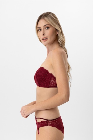 Pierre Cardin Lingerie Lotus Straplez Dantelli Sütyen Takımı Bordo