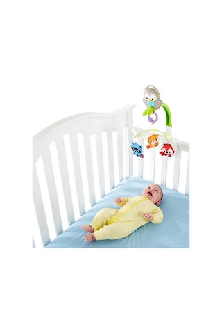 Fisher Price 3'ü 1 arada Baykuş Dönence CDM84
