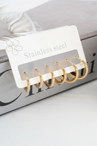 Kadın Kararmaz 316 L Çelik 6'lı Halka Set Küpe - Altın