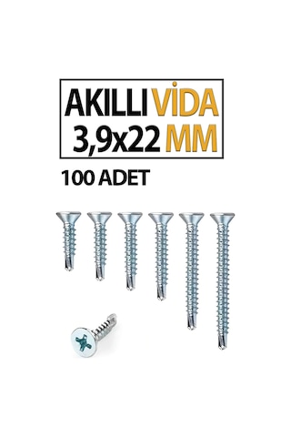 Akıllı Vida 3,9x 22 Mm 100 Adet Diğer