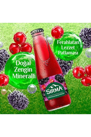Sırma B Vitaminli Karadut & Frenk Üzümü Aromalı Doğal Maden Suyu 200 Ml X 24 Adet
